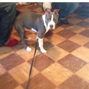 Meet your Posher, Elijah